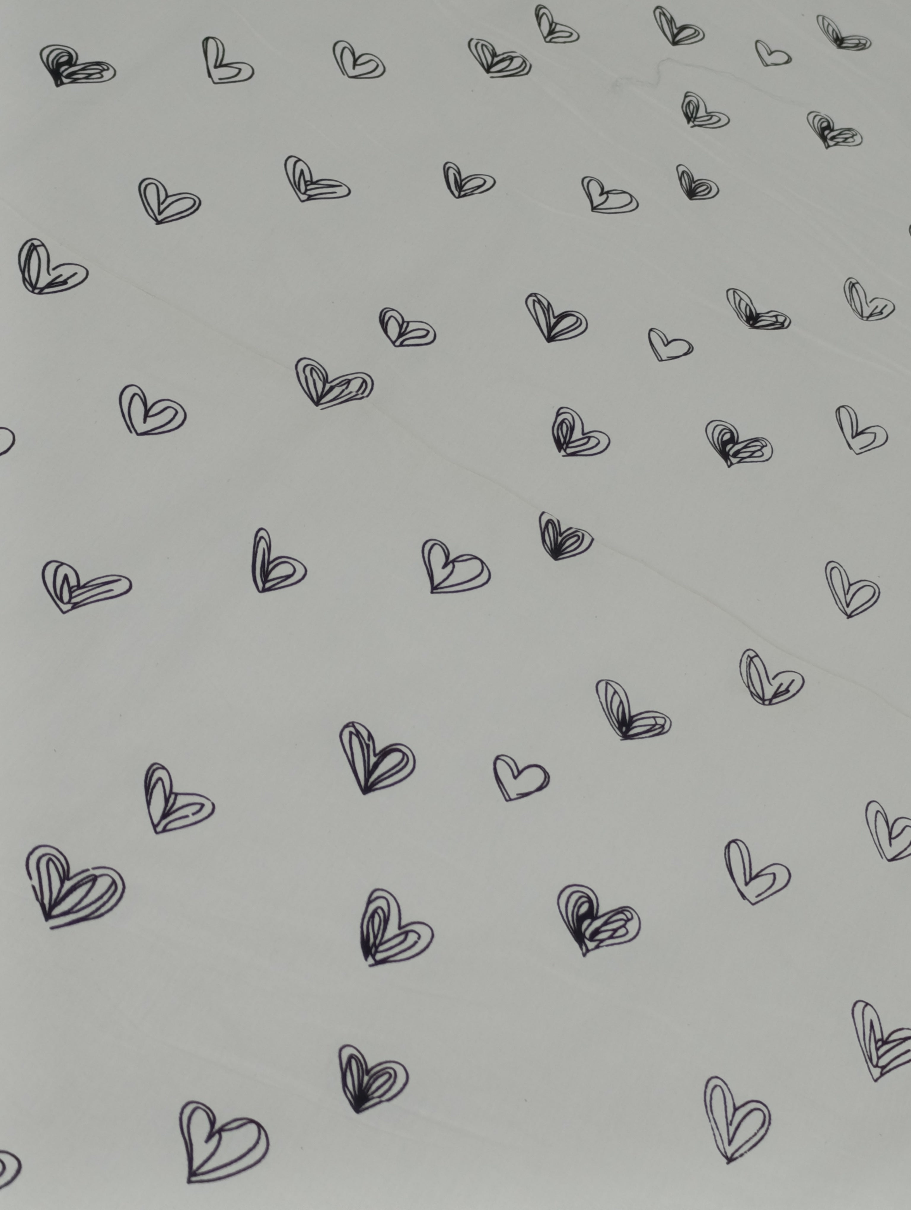 Cotton Bed Sheet Set - 3 Pieces  - Juliette - image 3